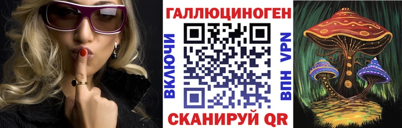Псилоцибиновые грибы Cubensis  Шуя 